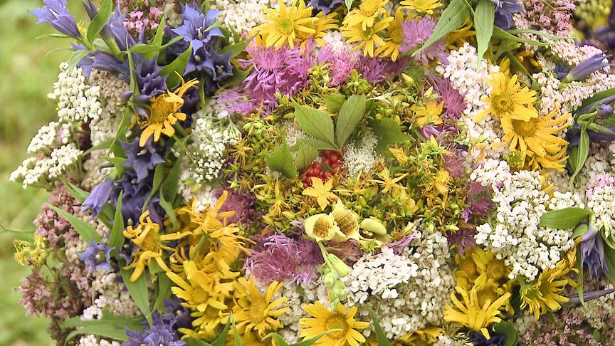 "bewusst gesund" am 13. August: Kräutersuche - Naturkraft gegen Frauenleiden