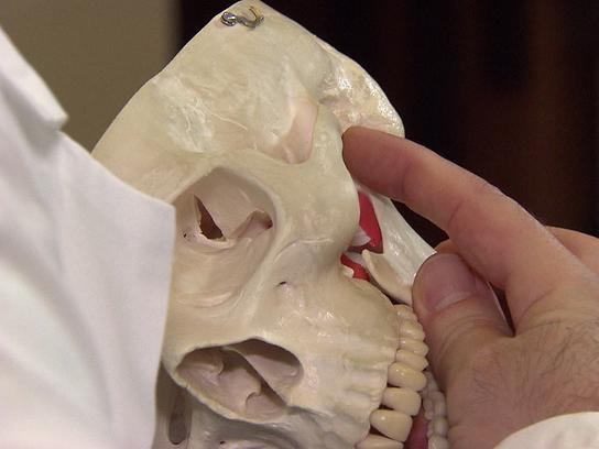 © ORF "bewusst gesund" am 1. April: Heilsamer Druck – Hilfe gegen Zähneknirschen