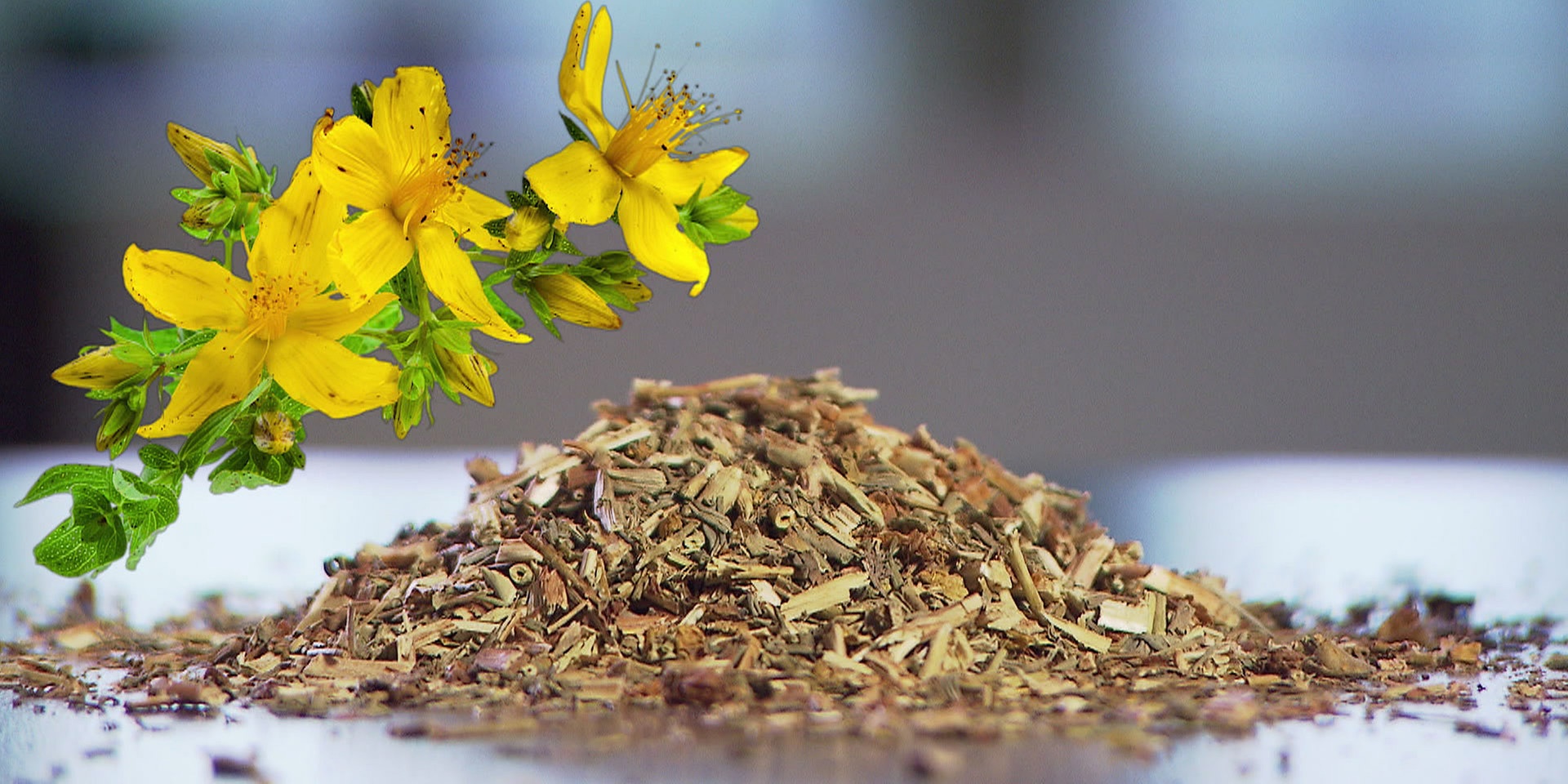 bewusst gesund am 3.2.2018: Johanniskraut & Co – das hilft gegen Winterdepression