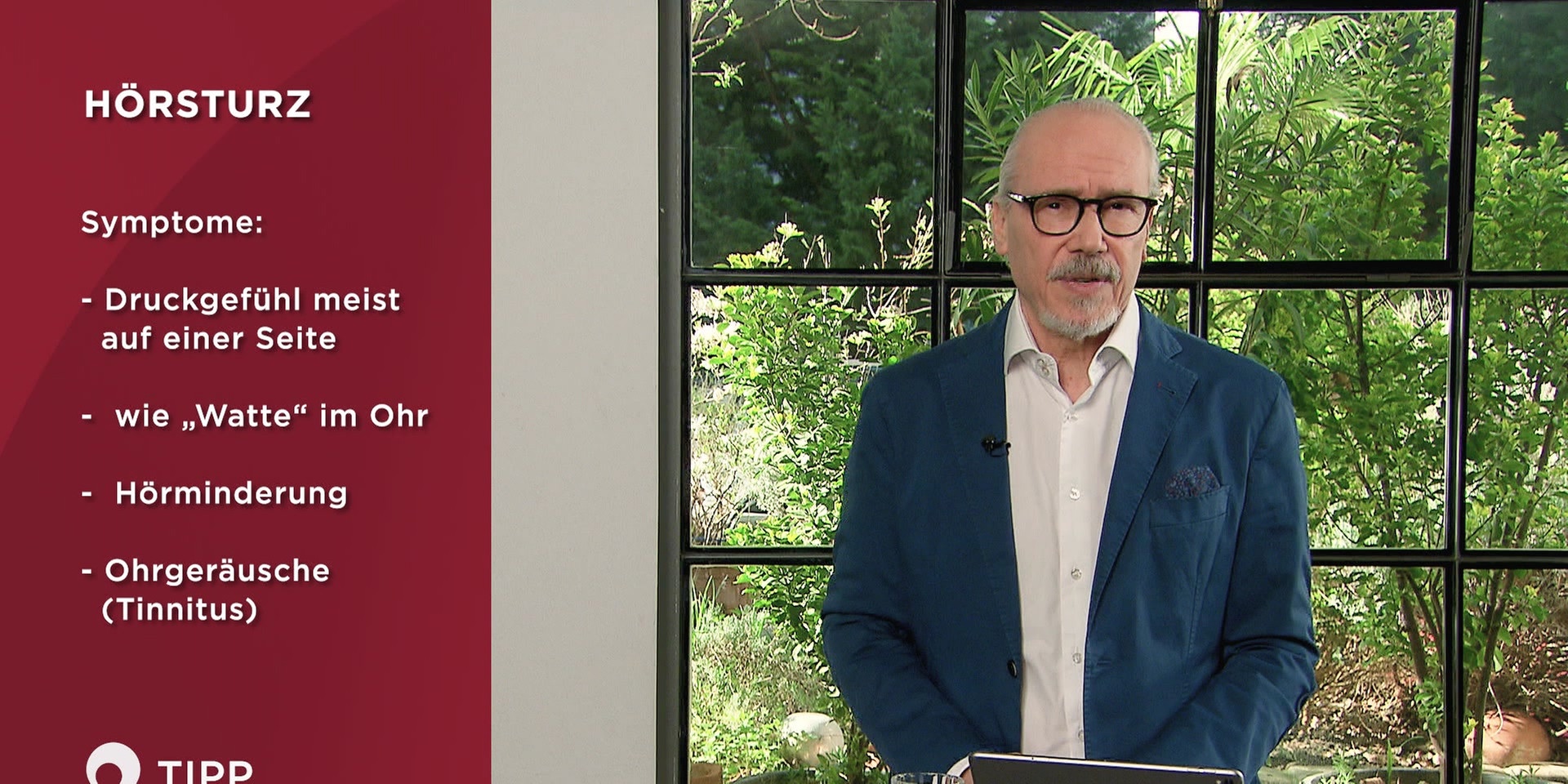 Prof. Dr. Siegfried Meryn erläutert im Studio neben einer Infografik die Symptome bei Hörsturz.