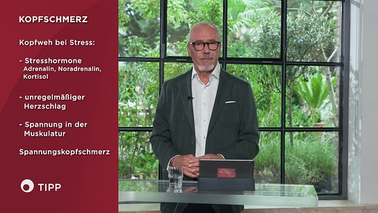 Prof. Dr. Siegfried Meryn erläutert neben einer Infografik mögliche Ursachen von stressbedingten Kopfschmerzen.