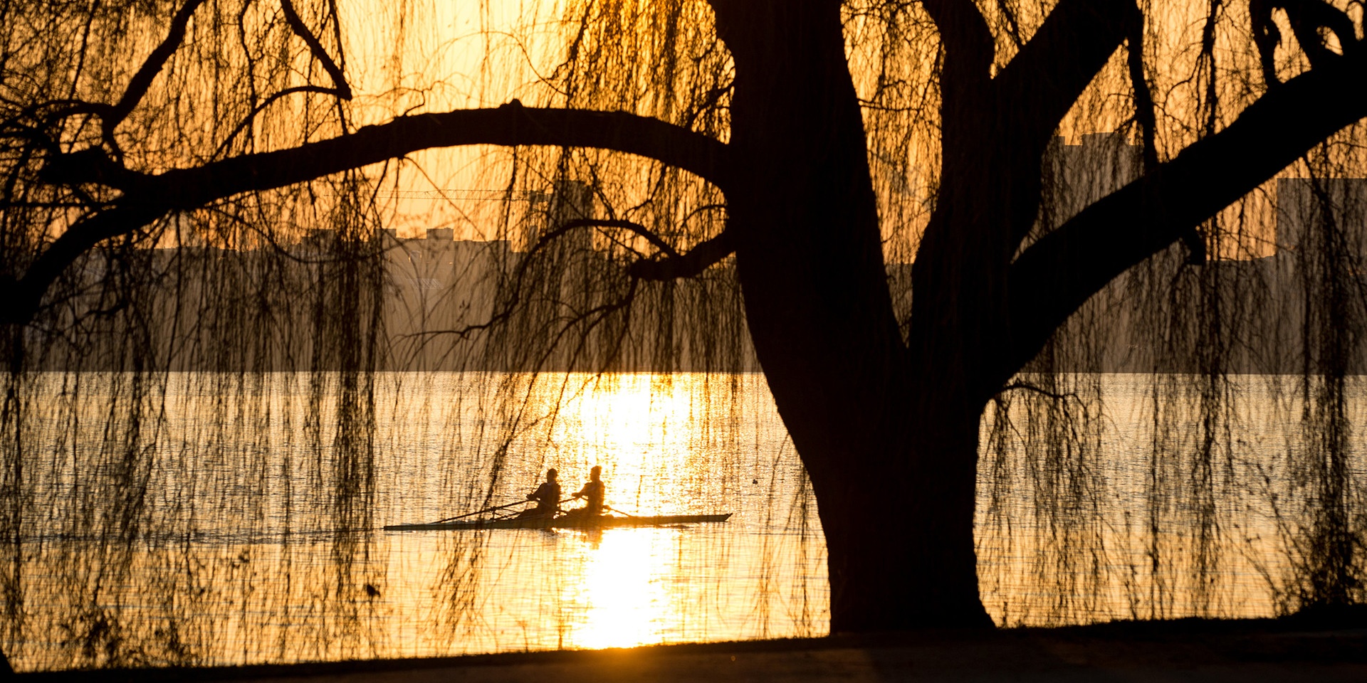 © APA/dpa/Christian Charisius Ruderer sind am 29.12.2016 in Hamburg im Sonnenaufgang auf der Alster unterwegs.