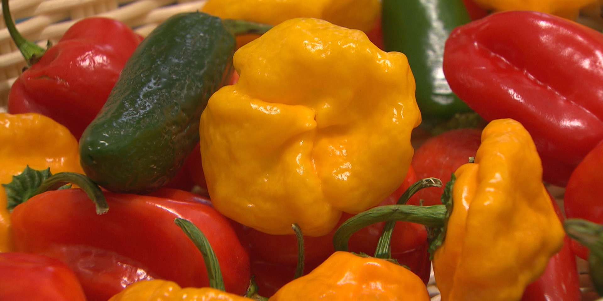 "bewusst gesund" am 27. Jänner 2018: Chili statt Salz – das senkt den Blutdruck