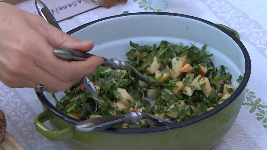 © ORF "bewusst gesund" am 27.4.2019: Frühlingskräuter - die Kraft der Natur entdecken
