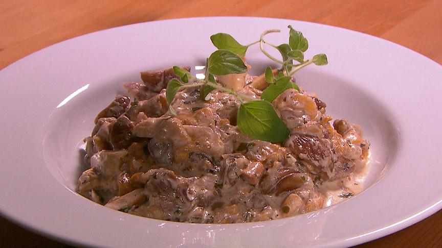 © ORF "bewusst gesund" am 23.11.2019: Maroni-Pilz-Gulasch