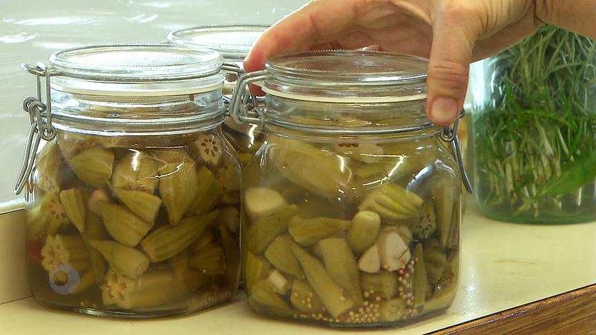 © ORF "bewusst gesund" am 17.10.2020: Okra eingelegt