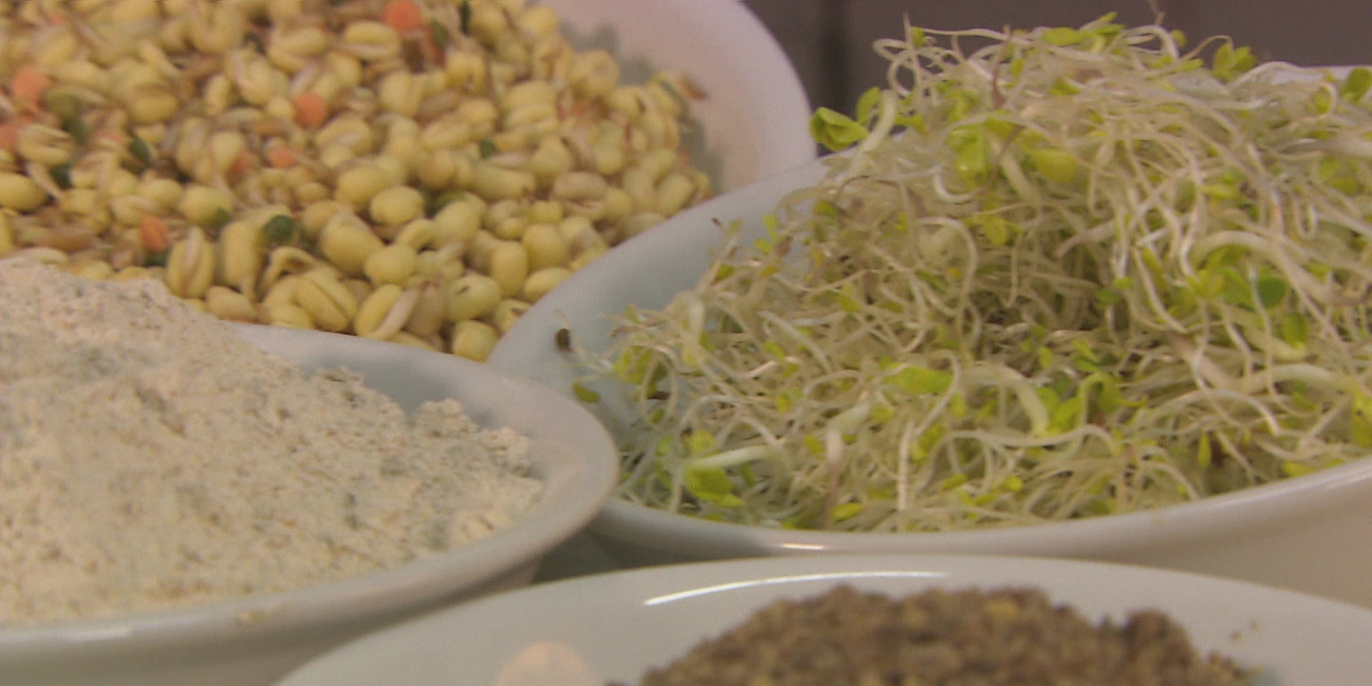 © ORF "bewusst gesund" am 6.2.2021: Kraft der Natur – warum Sprossen gesund sind