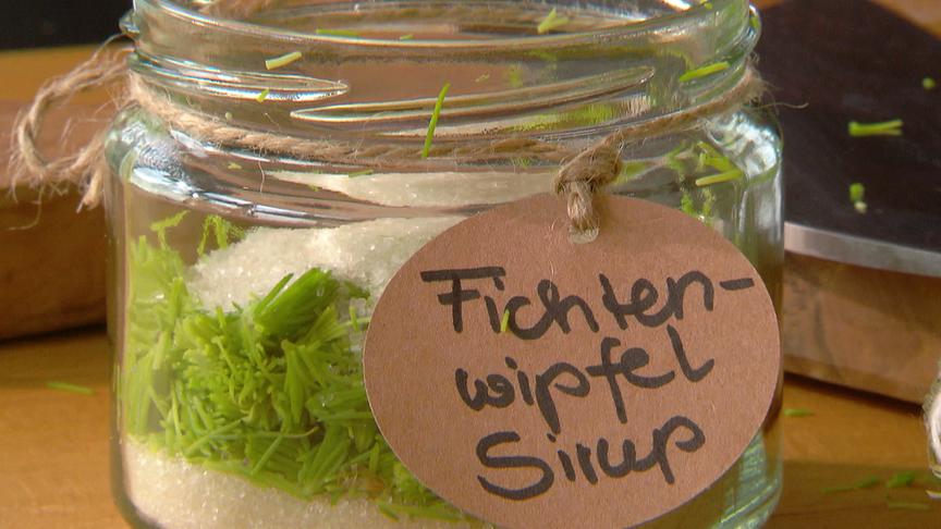 © ORF "bewusst gesund" am 5. Juni 2021: Schätze des Waldes – Gesundes zum Selbermachen