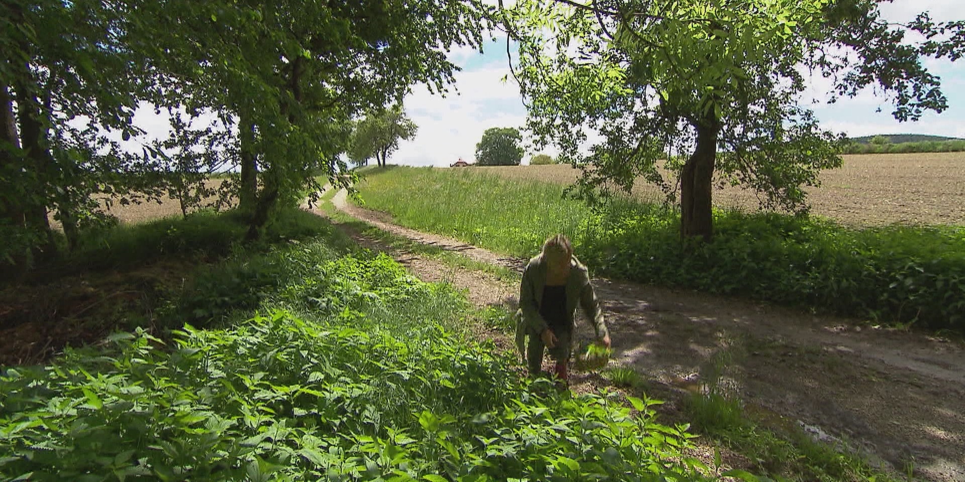 © ORF "bewusst gesund" am 19.6.2021: Oxymel - Immunbooster aus der Natur