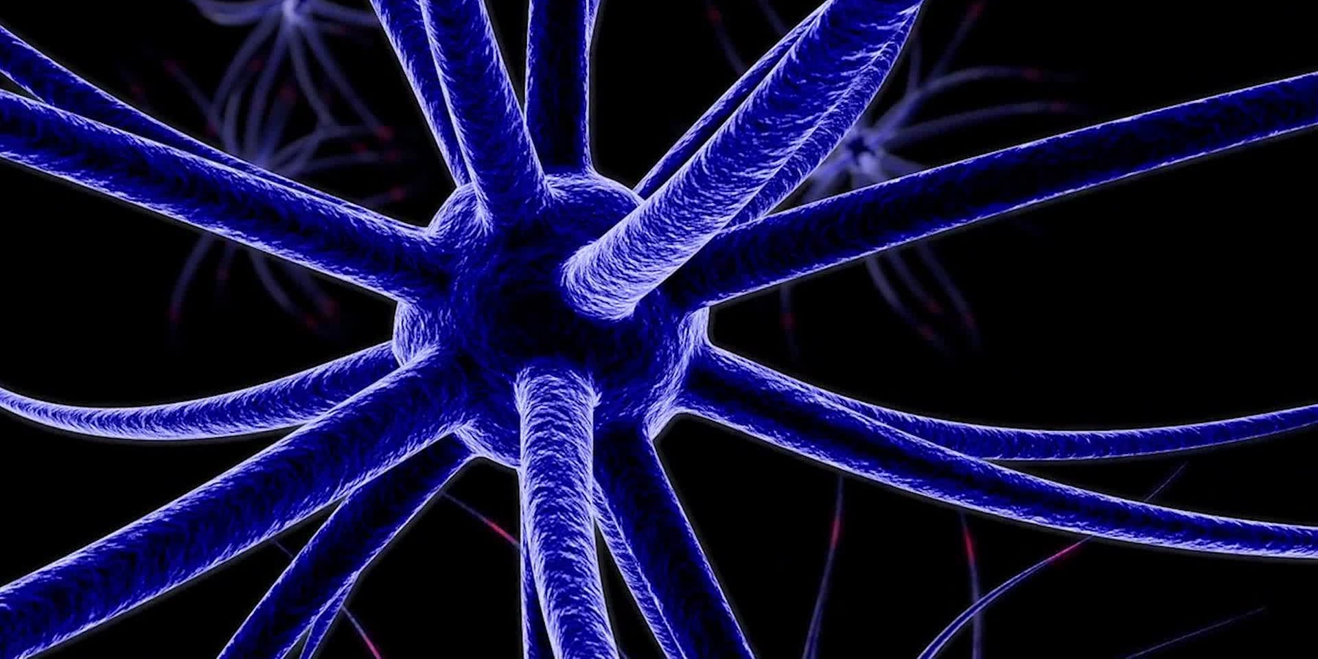 "bewusst gesund" am 25.6.2022: Neuroinflammation - Nerven außer Kontrolle.