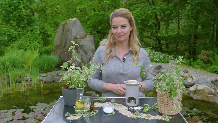 © ORF "bewusst gesund" am 15.7.2023: Weihrauch