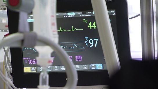 © ORF "bewusst gesund" am 15.6.2024: Immunseneszenz - wenn die Abwehrkräfte altern