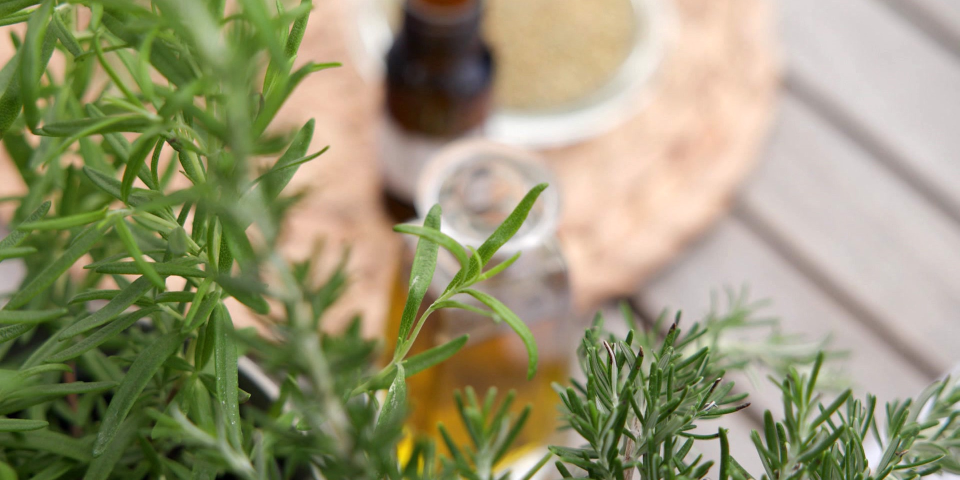 © ORF "bewusst gesund" am 10.8.2024: Haarausfall
