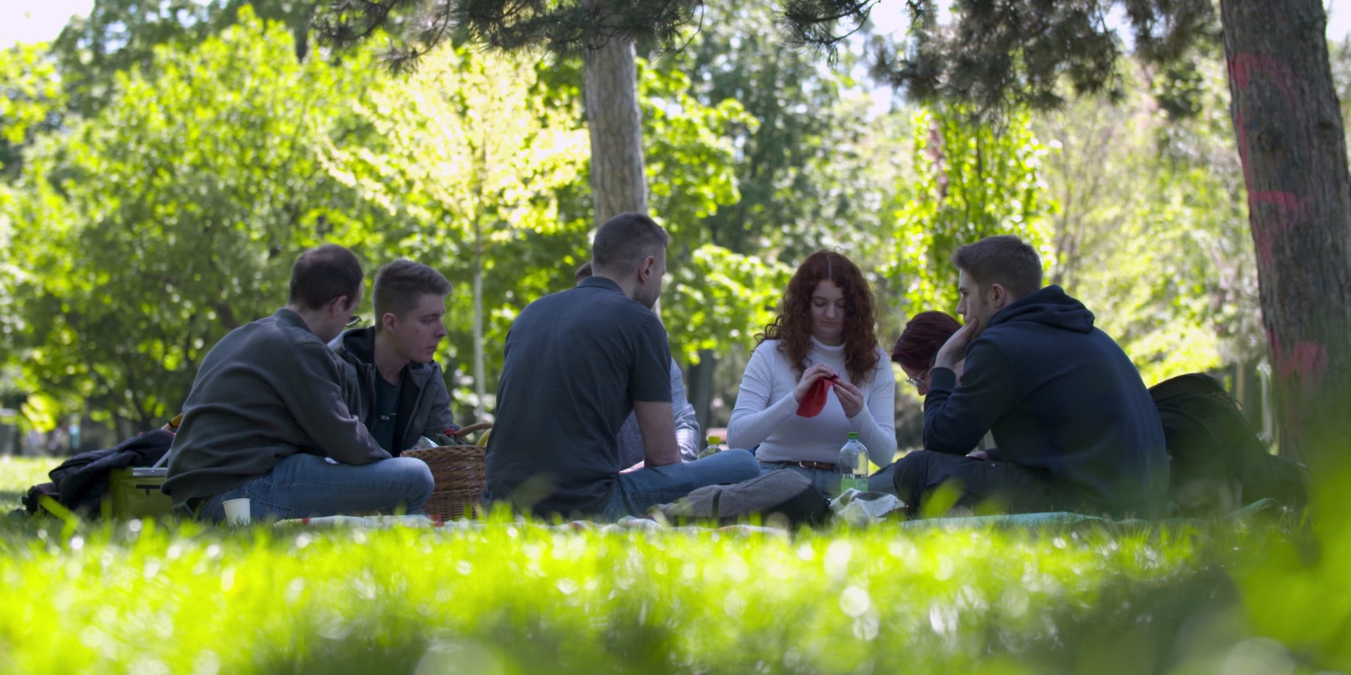 Eine Gruppe junger Menschen sitzt an einem sonnigen Tag auf einer Picknickdecke im Park.