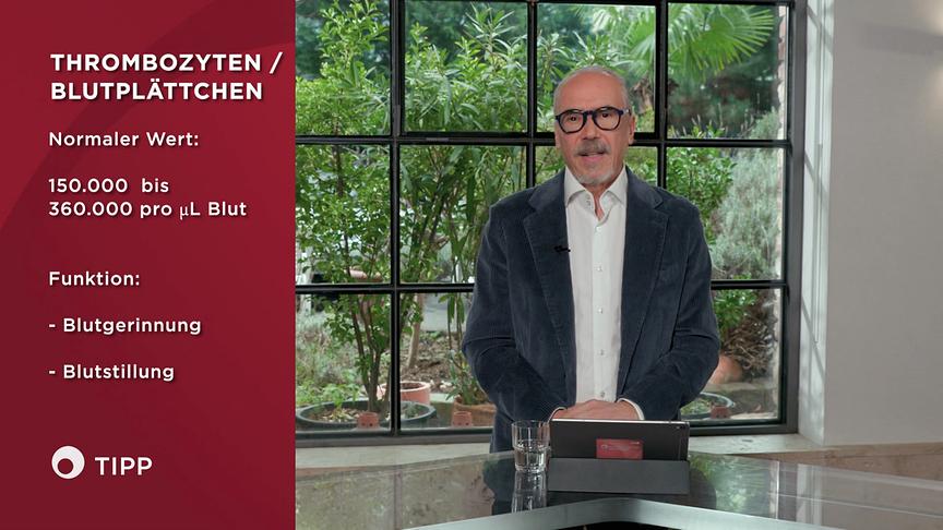 © ORF "Bewusst gesund" am 1.2.2025: Thrombozyten