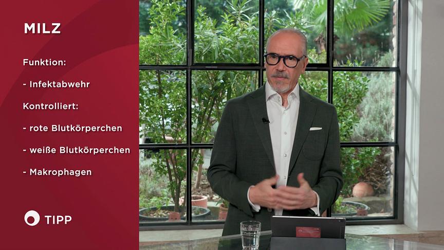 © ORF "Bewusst gesund" am 8.2.2025: Milz - Das unterschätzte Organ