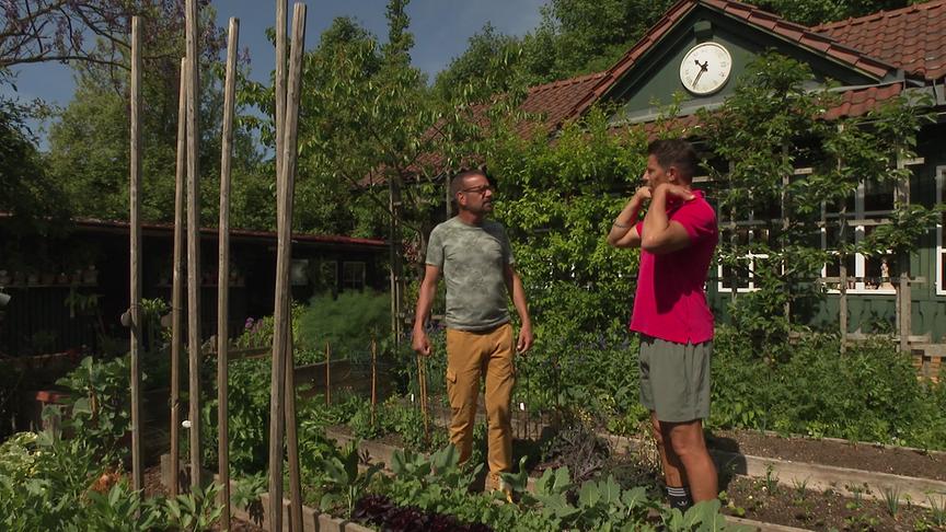 © ORF "Bewusst gesund" am 14. Juni 2025: Gartenfit - Frischluft-Workout mit Karl Ploberger