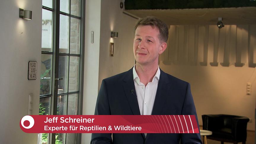 © ORF "Bewusst gesund" am 14. Juni 2025: Studiogespräch: Gefährliche Tiere im Urlaub?