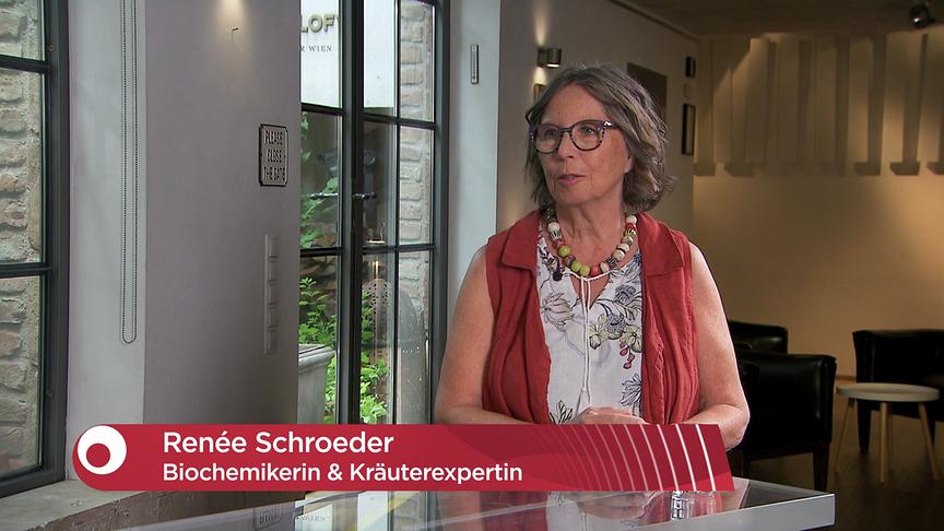 "Bewusst gesund" am 12.7.2025: Studiogespräch: Sommerserie Wildkräuter/Inhaltsstoffe