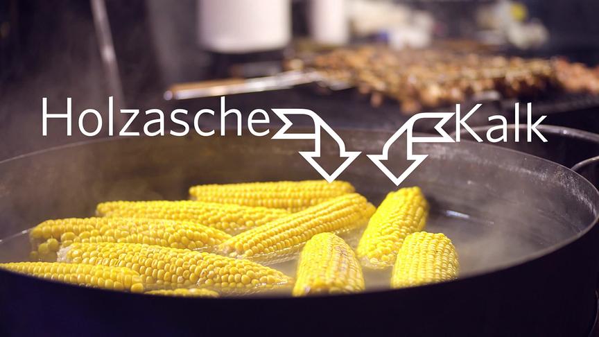 © ORF "Bewusst gesund" am 9.8.2025: Gesunder Mais – so ist Kukuruz am bekömmlichsten