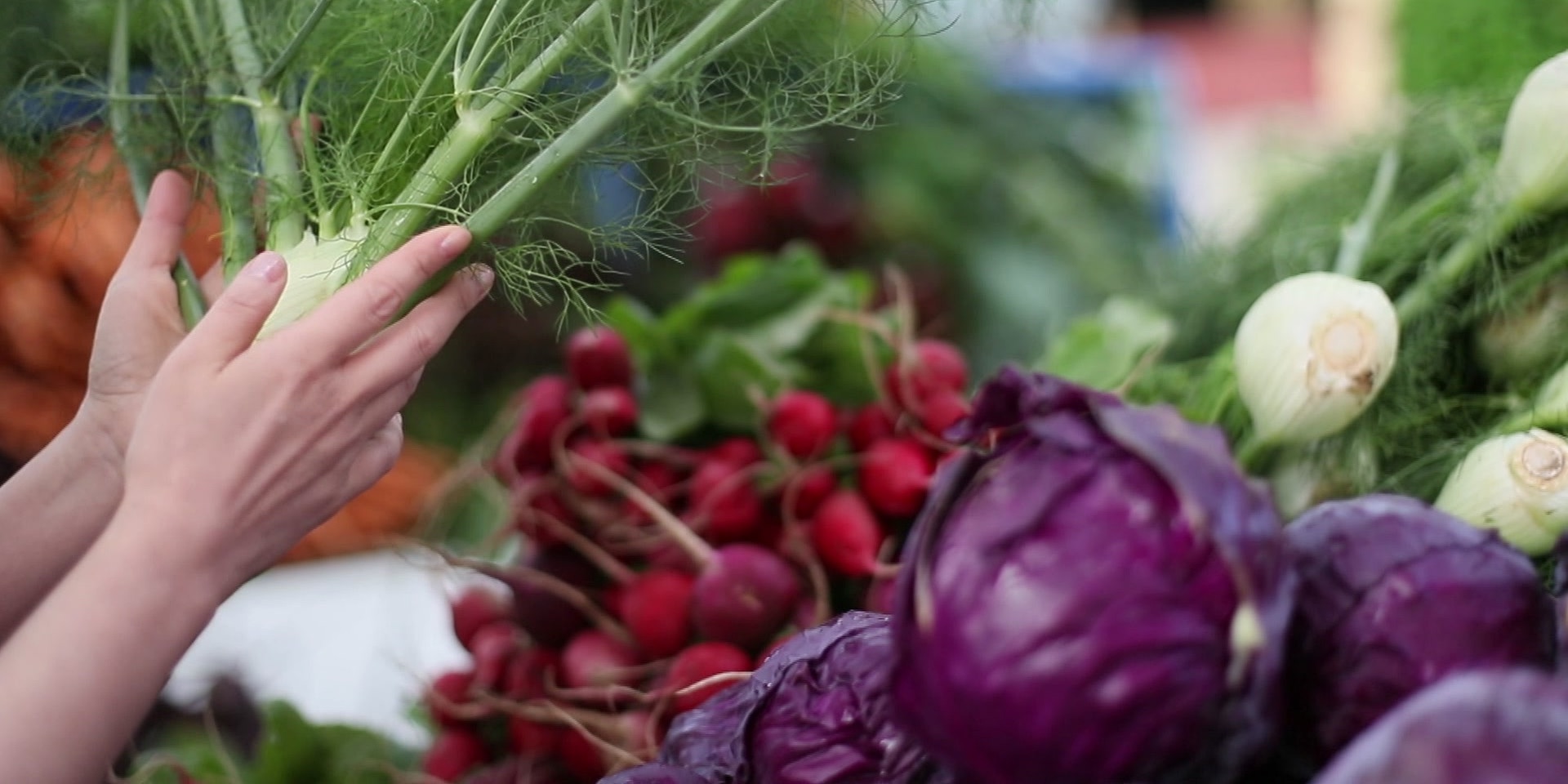 "Bewusst gesund" am 13.9.2025: Bitter oder süß? Eine Geschmacks-Frage des Alters 