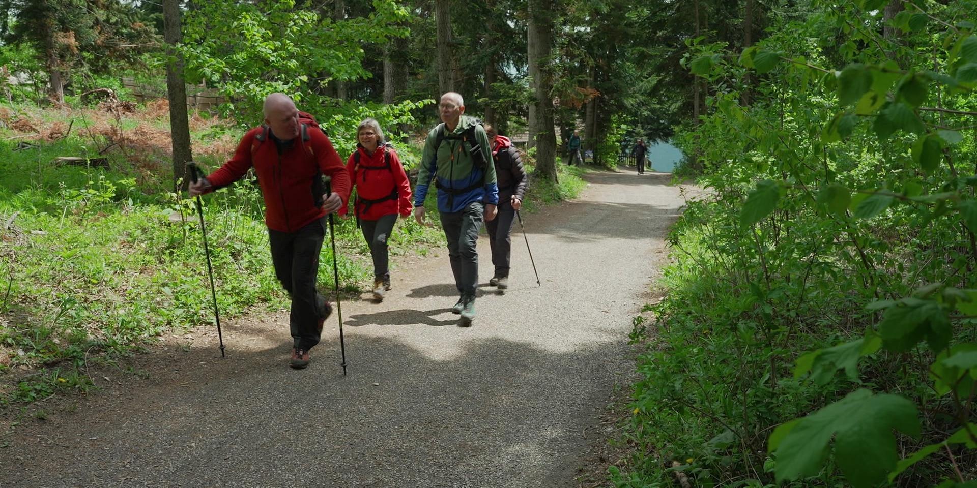 © ORF Zwei Männer und zwei Frauen mit Wanderstöcken beim Wandern in einem Wald