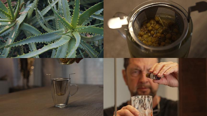 Eine Montage aus vier Bildern mit einer Aloe‑Pflanze, mehrere Schritte der Zubereitung eines Kräutertees, von den losen Kräutern bis zum Aufgießen in ein Glas und ein Mann, der ein ätherisches Öl in ein Glas träufelt..