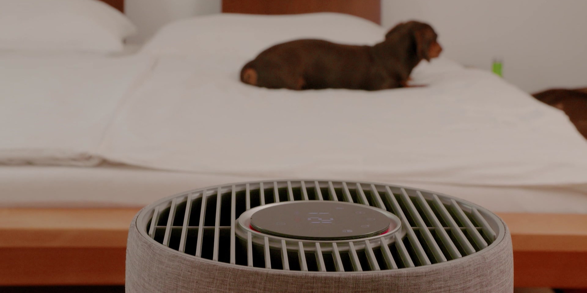 Ein Hund liegt entspannt auf einem frisch gemachten Bett, im Vordergrund steht ein modernes Luftreinigungsgerät.