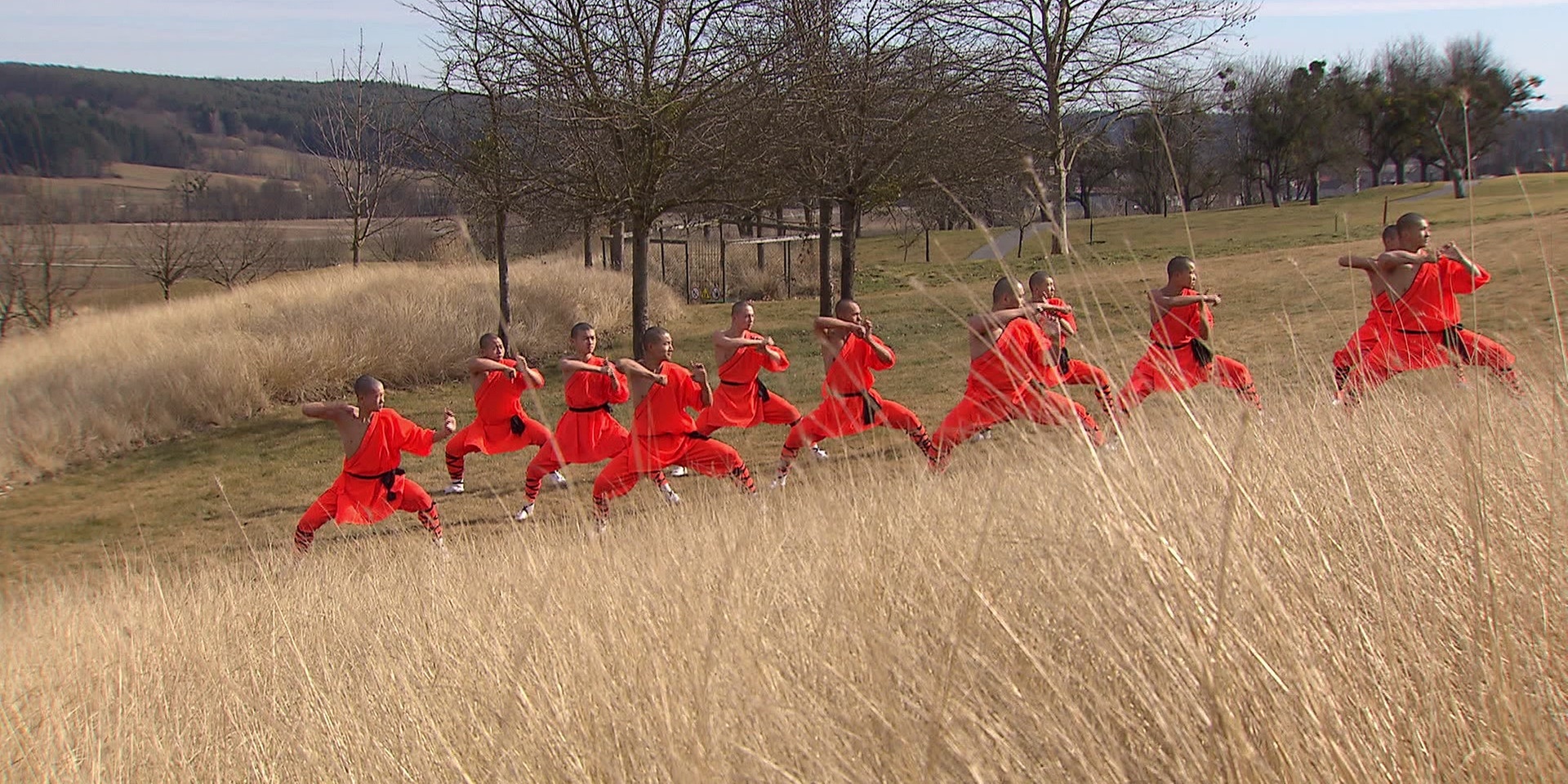 Shaolin-Mönche in orangefarbenen Kampfkunstuniformen stehen mit angewinkelten Armen synchron im Freien auf einem Feld zwischen Gräsern und Bäumen.