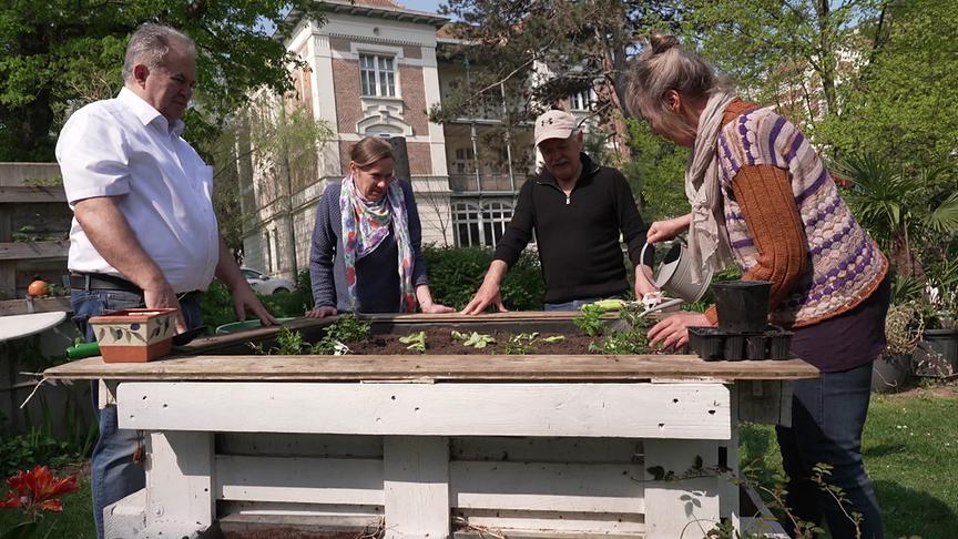 Vier ältere Menschen bepflanzen gemeinsam ein Hochbeet in einem Garten vor einem größeren Gebäude.