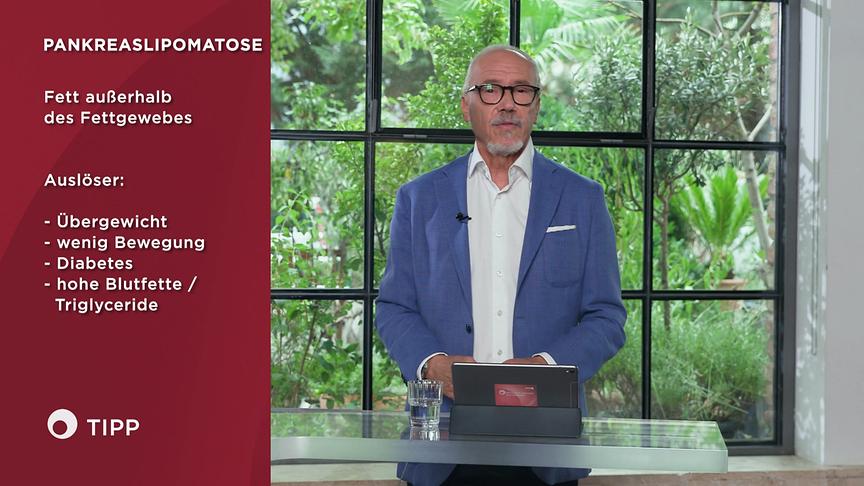 Prof. Dr. Siegfried Meryn erläutert im Studio neben einer Infografik mögliche Auslöser einer Pankreaslipomatose. 