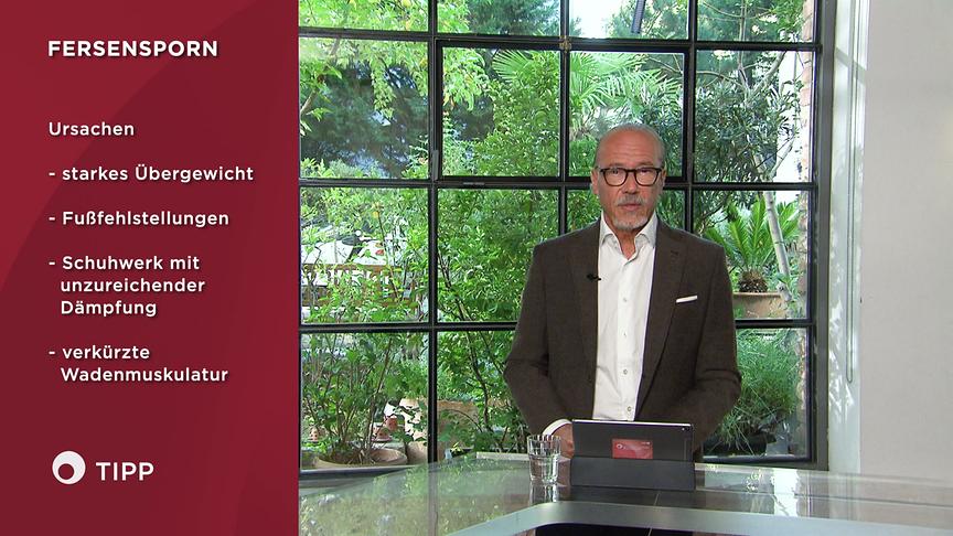 Prof. Dr. Siegfried Meryn erklärt neben einer Infografik die Ursachen für Fersensporn.