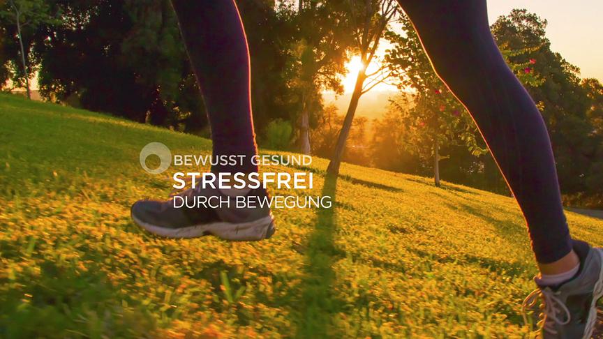 Insgesamt 3 Millionen Sahen ORF-Initiative „bewusst Gesund: Stressfrei ...