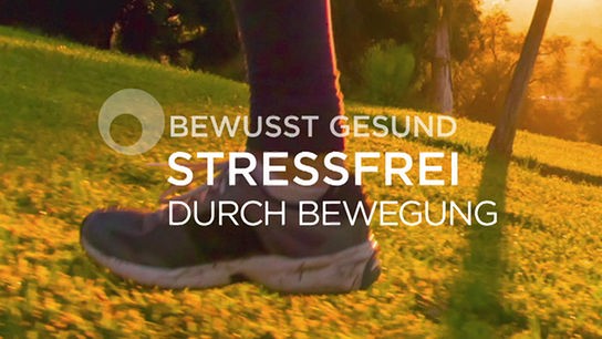 © ORF bewusst gesund: Stressfrei durch Bewegung - Sujet